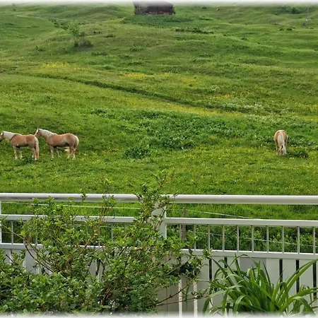 Apartamento Vier Jahreszeiten *